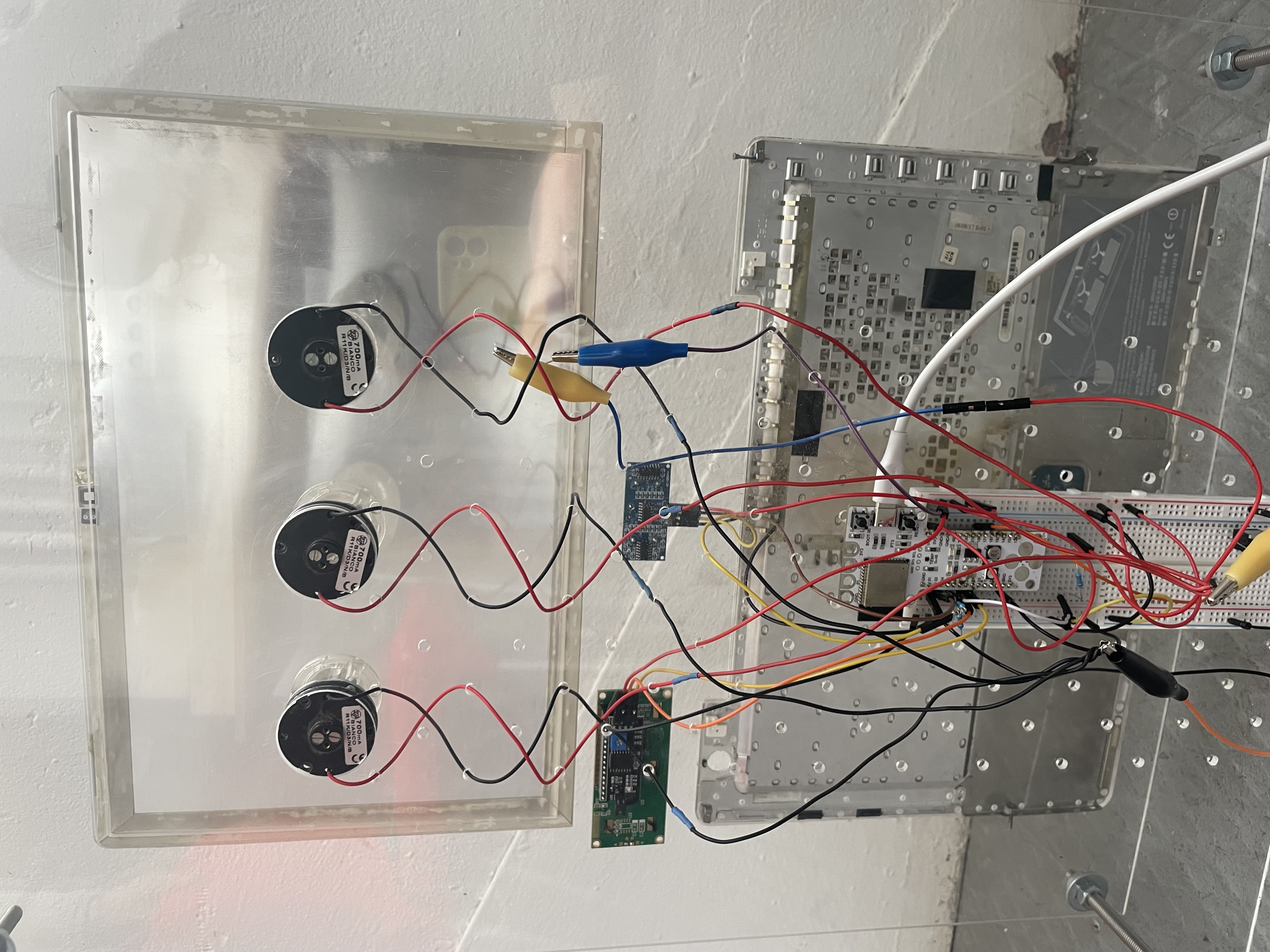 Meluza — Week 2 machine paradox project